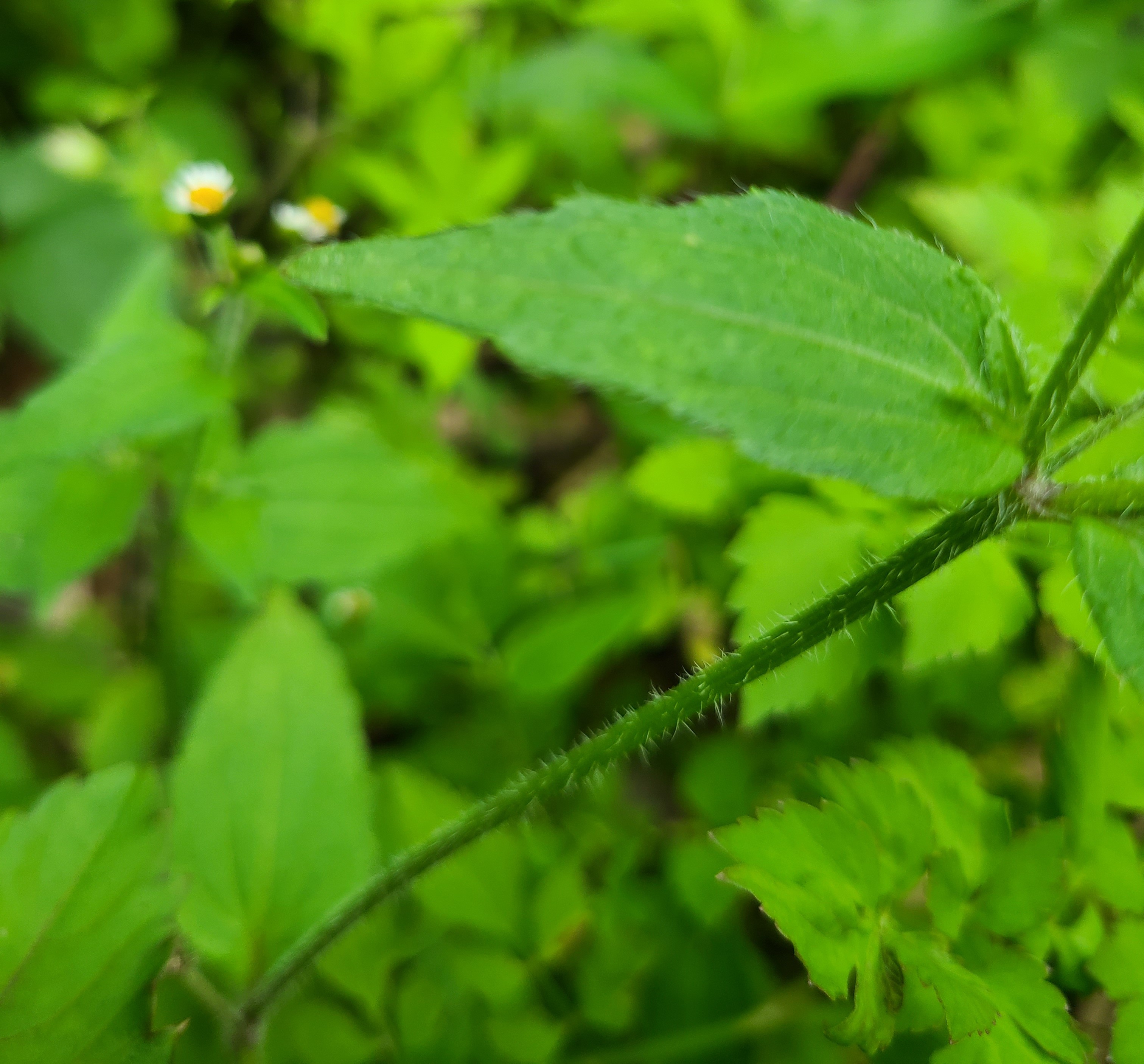 test