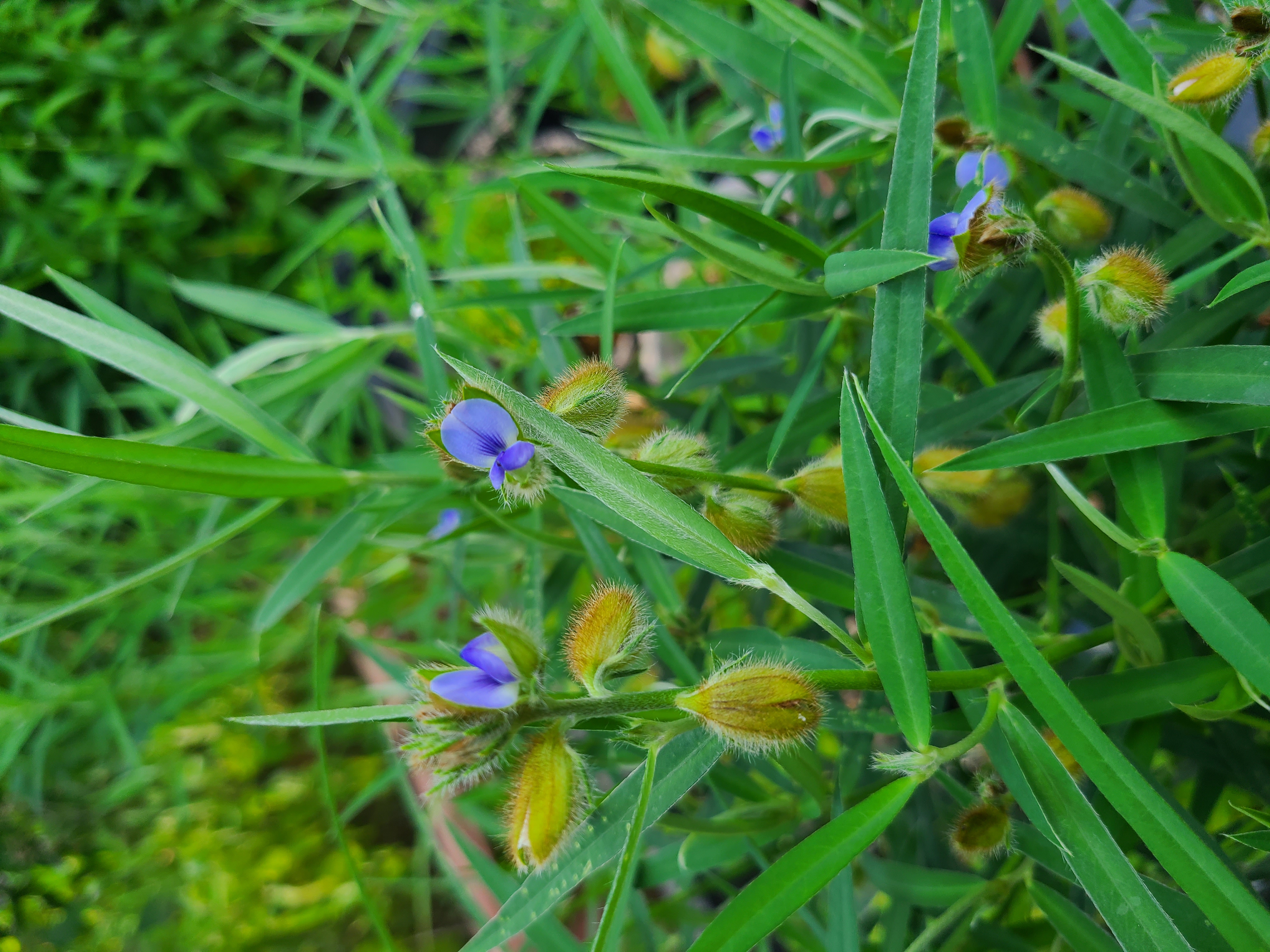 test