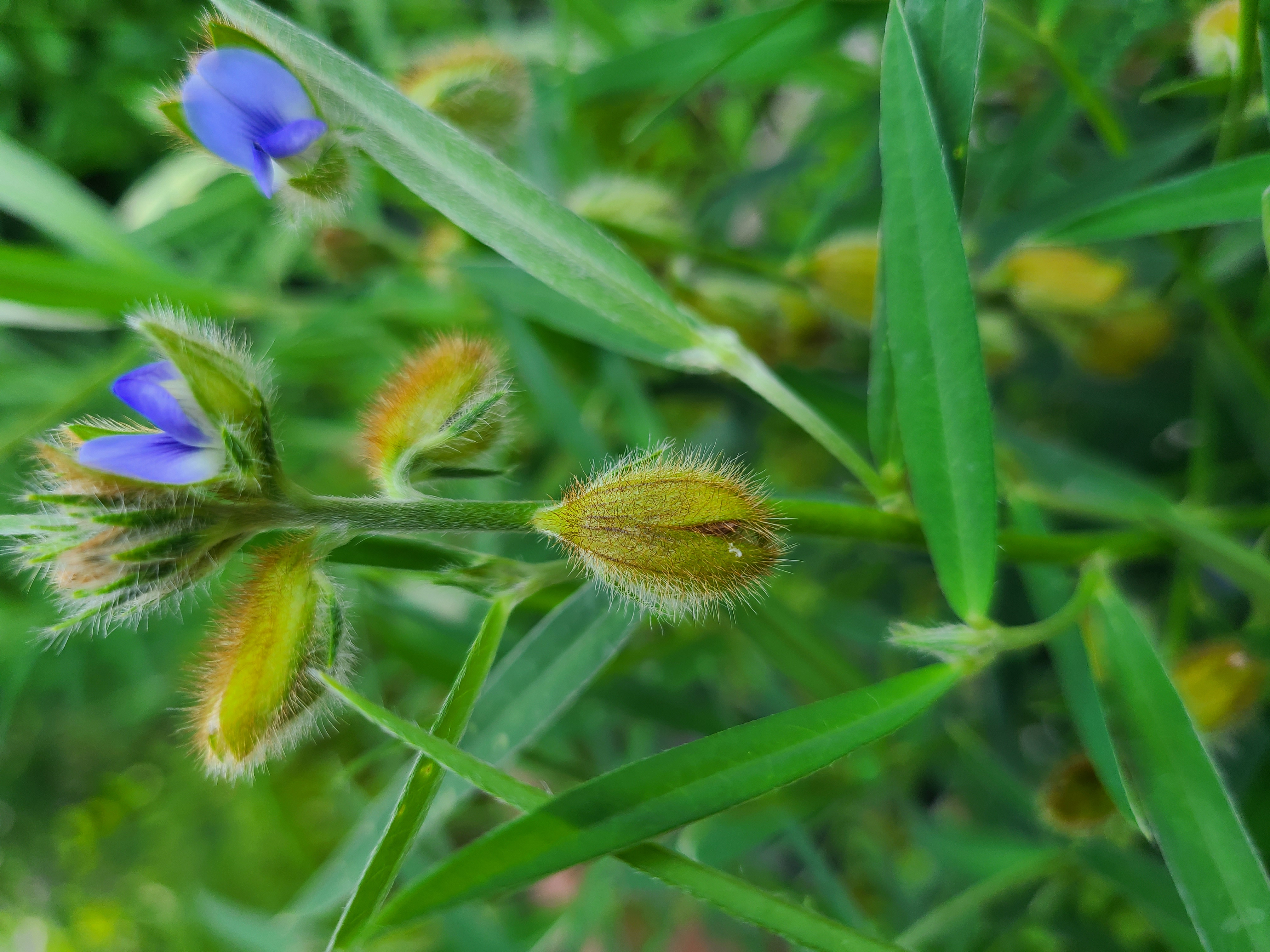 test