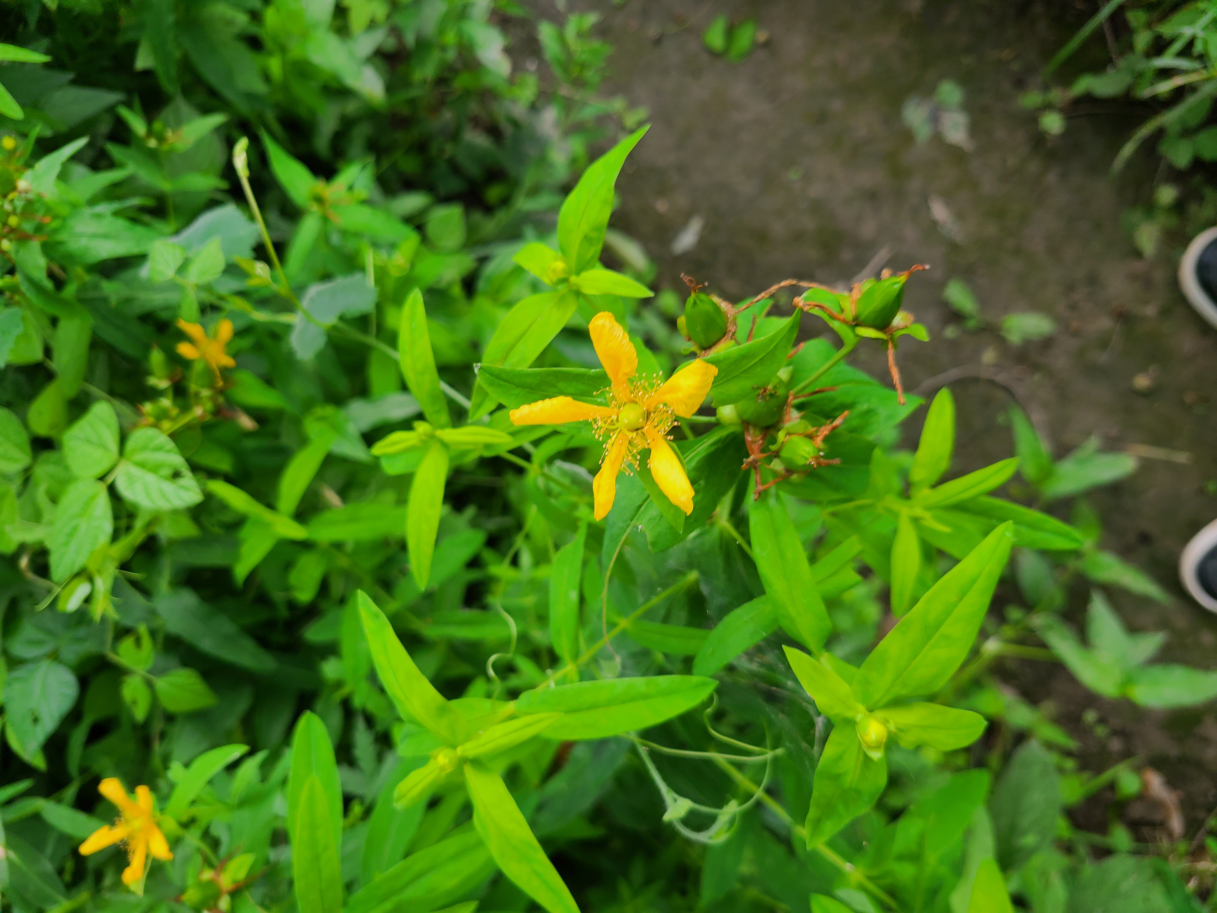 test